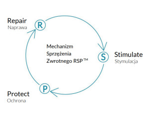 Mechanizm sprzężenia zwrotnego rsp