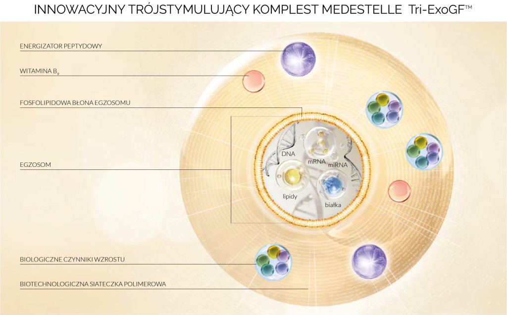 trójstymulujący kompleks Medestelle Tri-EXOGFTM_1